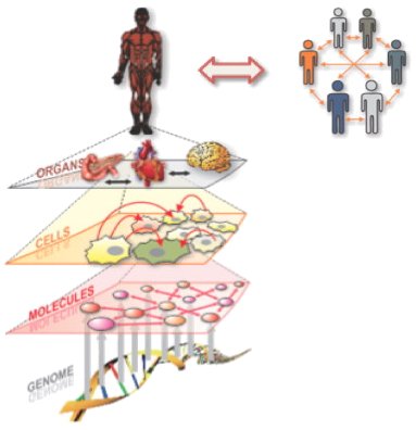 An external file that holds a picture, illustration, etc., usually as some form of binary object. The name of referred object is rmmj-4-2_e0012_Figure05.jpg